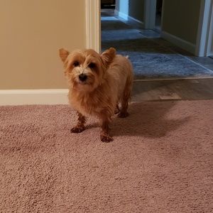 Meet your Posher, Rachel